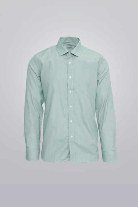 Green stripe dress shirt for men, cotton-polyester blend, long sleeve, wrinkle-resistant, regular fit